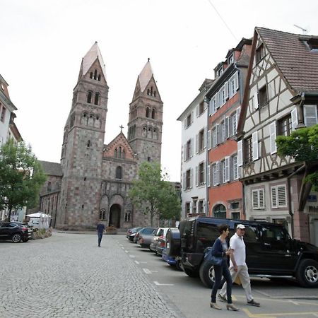 Gite Les Tourterelles Selestat - 30Min Europapark Экстерьер фото