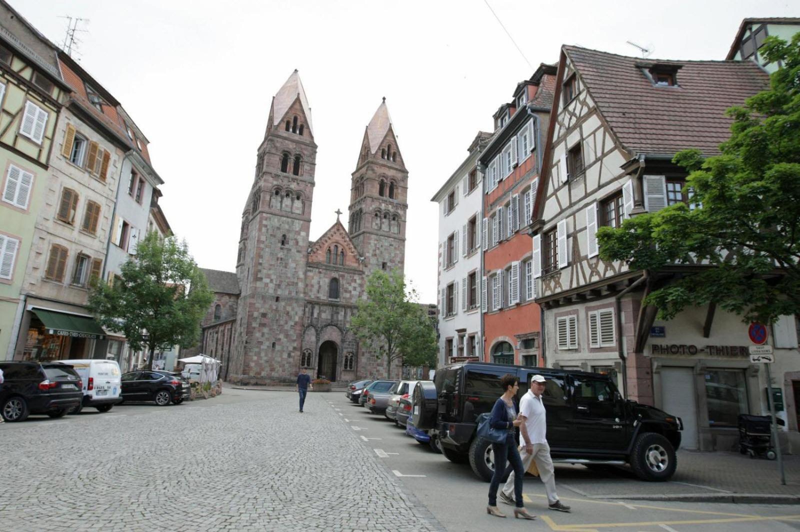Gite Les Tourterelles Selestat - 30Min Europapark Экстерьер фото
